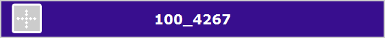 100_4267